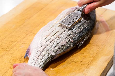 how to clean a fish